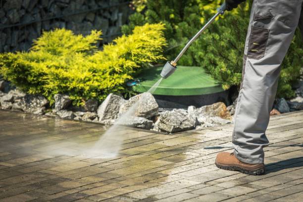 Best Pre-Holiday Cleaning  in Ramapo College Of New Jersey, NJ